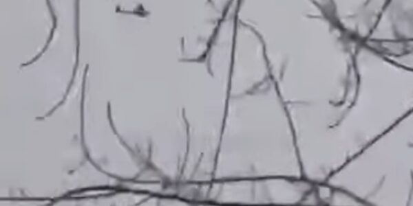 Завод дронів в РФ атакували безпілотники - ЦПД