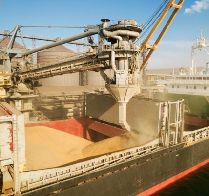 Україна скоротила експорт агропродукції на понад 23% - УКАБ