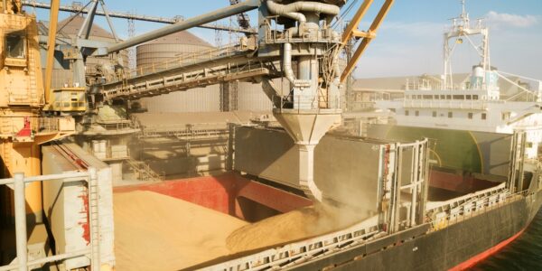 Україна скоротила експорт агропродукції на понад 23% - УКАБ