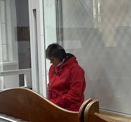Суд арештував підозрювану в нападі на Стерненка