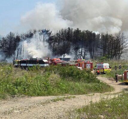 У Південній Кореї розбився військовий літак