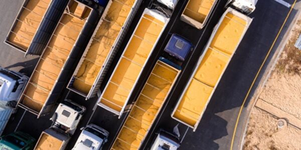 ЄС оприлюднив квоти на агропродукцію з України