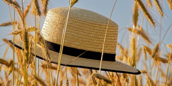 Гороскоп для всіх знаків зодіаку на 19 червня 2025 року