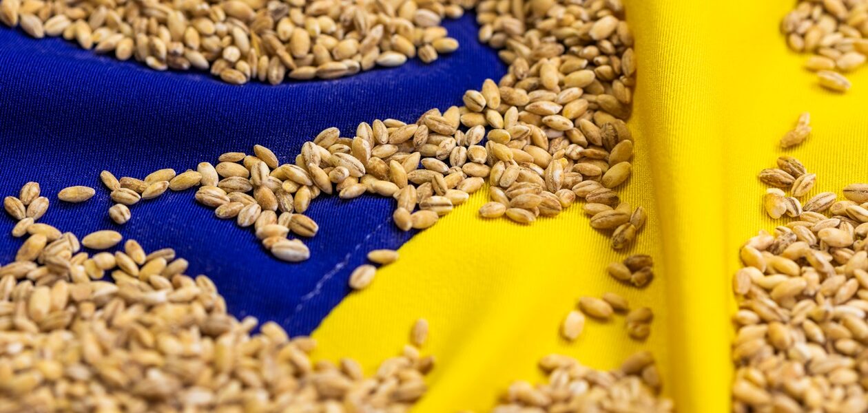 Став відомий найбільший імпортер агропродукції України серед країн ЄС