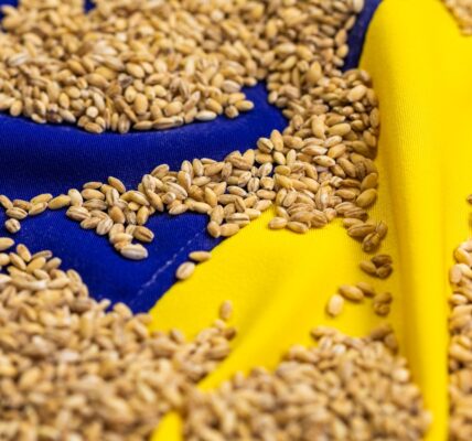 Став відомий найбільший імпортер агропродукції України серед країн ЄС