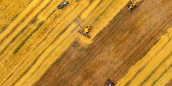 Аграрії наблизилися до збору першого мільйона тонн зерна