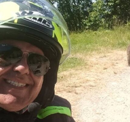 У Карпатах ведмідь загриз туриста після селфі з ним