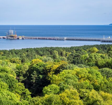 В Балтійському морі знайшли найбільше родовище нафти в Польщі
