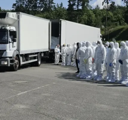 Україна завершила репатріацію загиблих у межах Стамбульських домовленостей