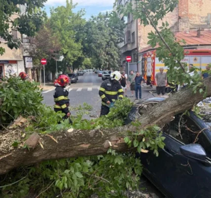 Бухарест накрив потужний буревій: є загиблі (фото, відео)