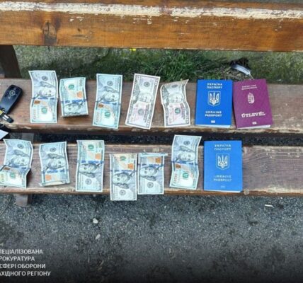 Прикордонник відмовився від хабаря у 320 тисяч, викривши ухилянтів