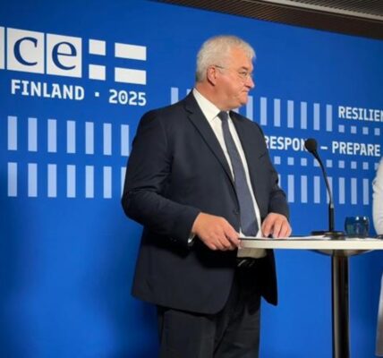 Україна готує проект реформи ОБСЄ - Сибіга