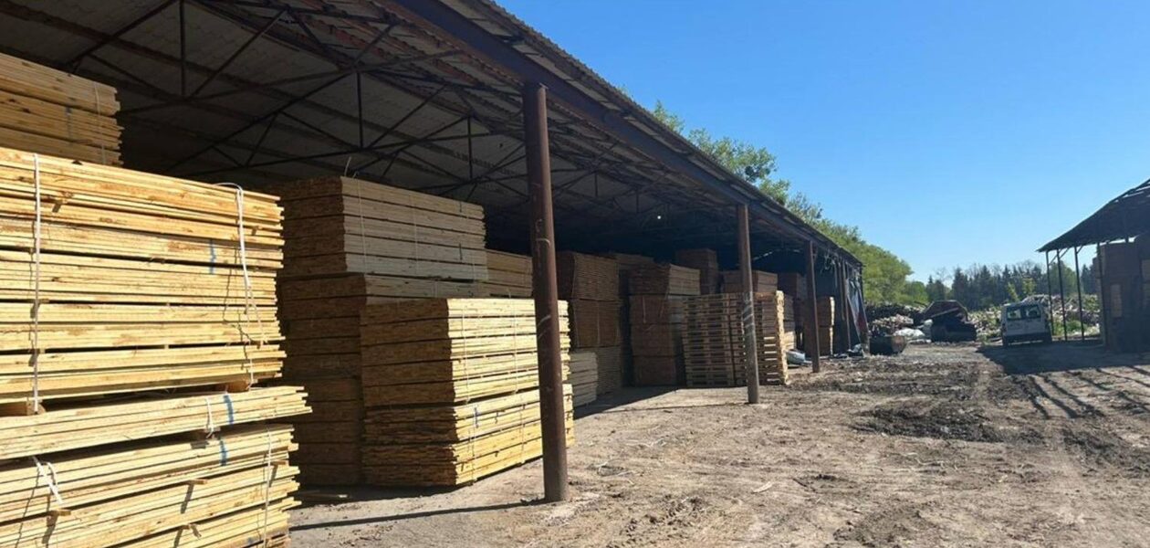 На Житомирщині судитимуть посадовців за розкрадання лісу