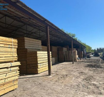 На Житомирщині судитимуть посадовців за розкрадання лісу