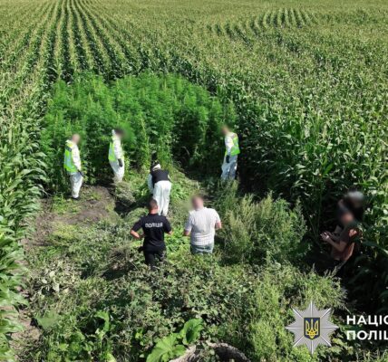 В Україні провели масштабну операцію Джентельмени