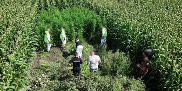 В Україні провели масштабну операцію Джентельмени