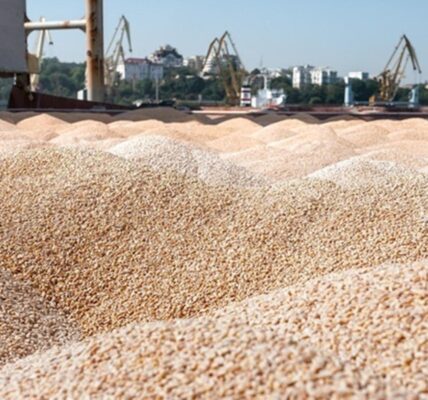 Україна продала мільйон тонн пшениці нового врожаю