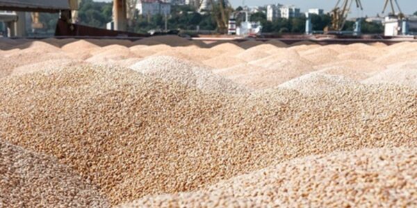 Україна продала мільйон тонн пшениці нового врожаю