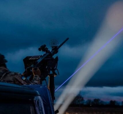 Стало відомо, як спрацювала ППО в ніч на неділю