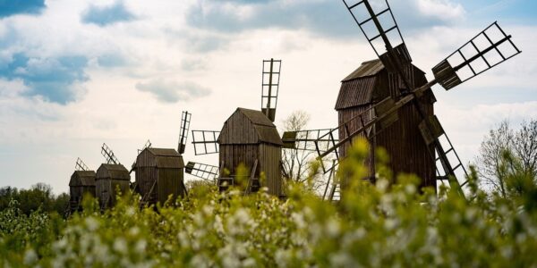 Гороскоп для всіх знаків зодіаку на 20 серпня 2025 року
