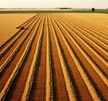 В Україні скоротилося виробництво агропродукції на понад 18%
