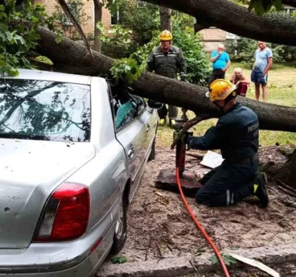 У Києві рятувальники деблокували автівки з-під повалених вітром дерев (фото)