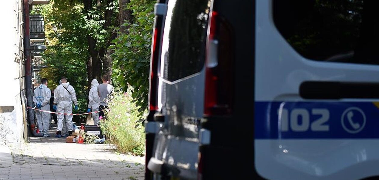 Вбивство Парубія: оприлюднено деталі розслідування
