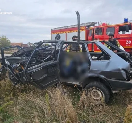 У Запорізькій області російський дрон вбив подружжя в автівці