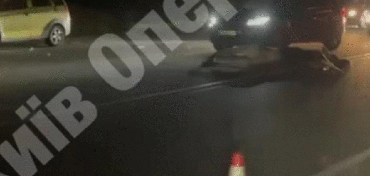 Під Києвом авто збило лося