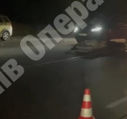 Під Києвом авто збило лося