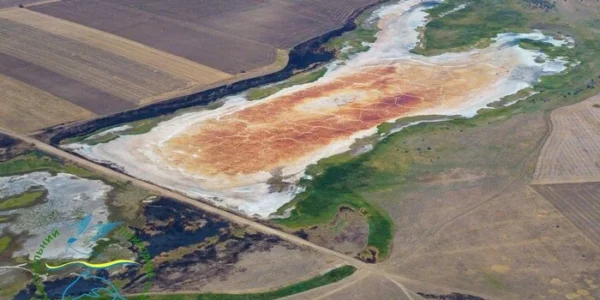 Вода перетворилася на сіль. На Одещині вперше за багато років зафіксовано незвичне природнє явище