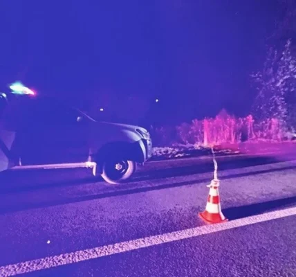 На Львівщині водій під час спілкування з поліцією підірвав гранату