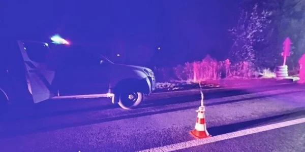 На Львівщині водій під час спілкування з поліцією підірвав гранату