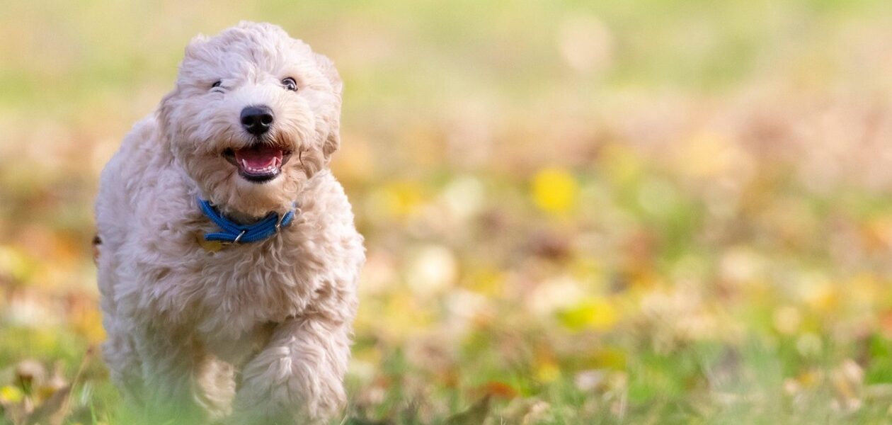 Гороскоп для всіх знаків зодіаку на 23 жовтня 2025 року