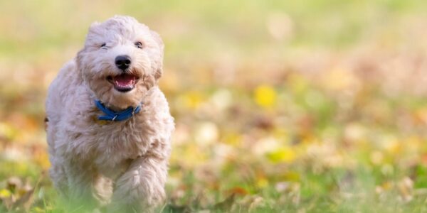 Гороскоп для всіх знаків зодіаку на 23 жовтня 2025 року