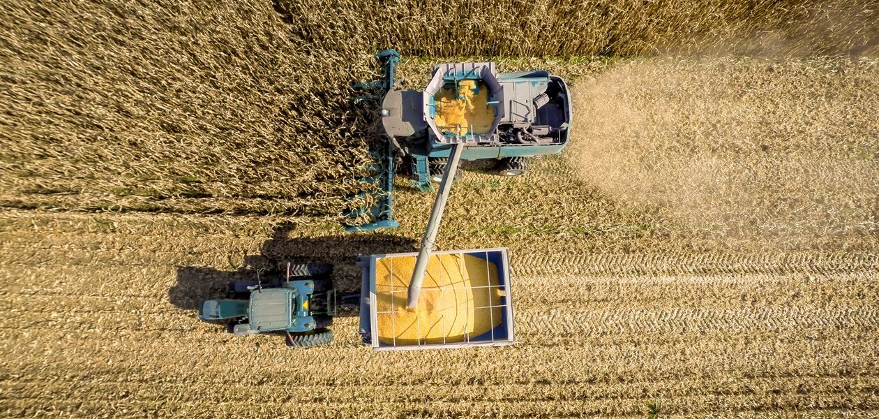 В Україні обмолочено 73% зернових площ