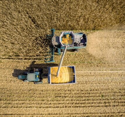 В Україні обмолочено 73% зернових площ