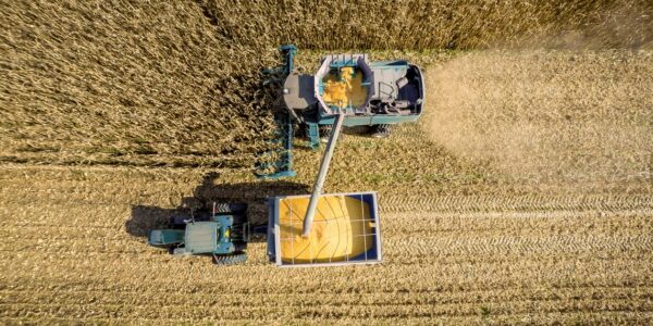 В Україні обмолочено 73% зернових площ