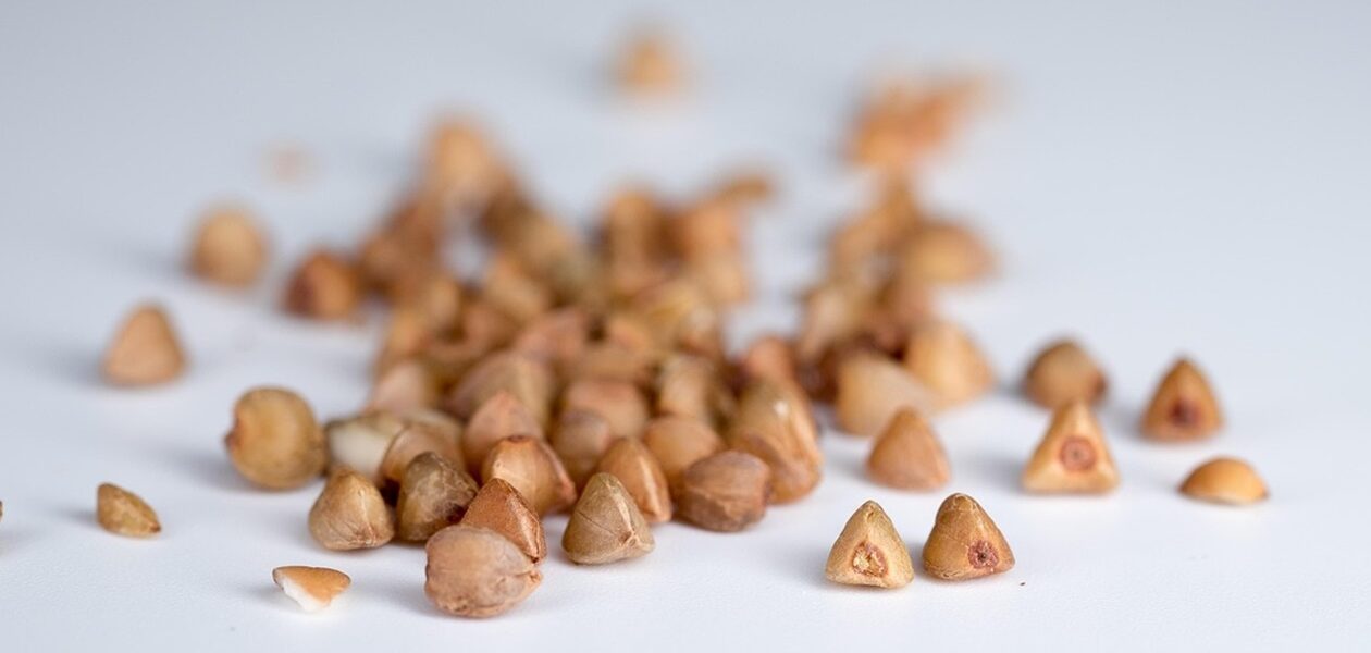 Україна скоротила виробництво гречки на 15%