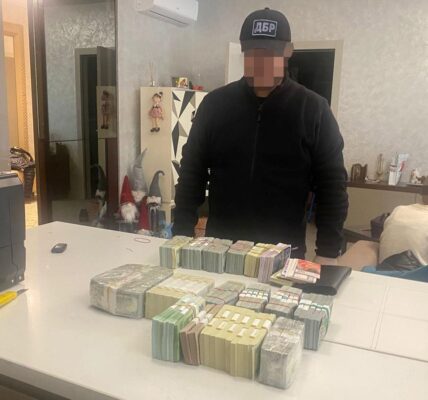 У посадовиці екоінспекції вилучили понад $1 млн