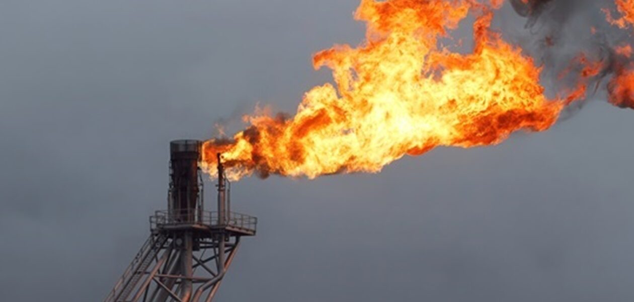 Імпорт газу в Україну можна замінити внутрішнім ресурсом - Enwell Energy