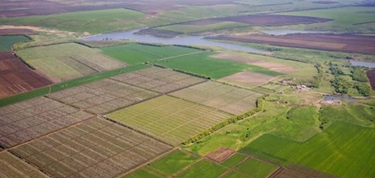 В Україні за чотири роки реалізували понад 30 тисяч земельних ділянок