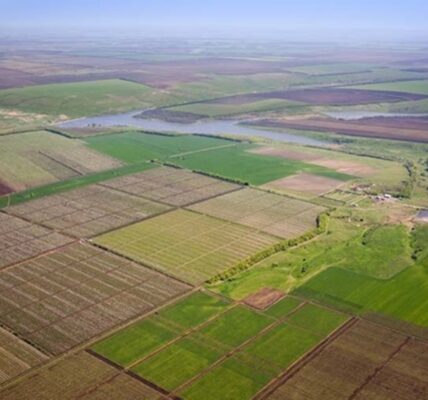 В Україні за чотири роки реалізували понад 30 тисяч земельних ділянок