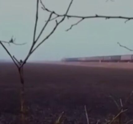 ГУР оприлюднив кадри спецоперації на Запоріжжі