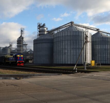 В Україні зібрали майже 60 млн тонн зерна