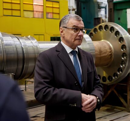 Суботін Шредінгера