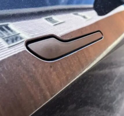 Китай заборонить висувні дверні ручки на авто