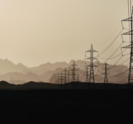 Китай зупинив закупівлю російської електроенергії