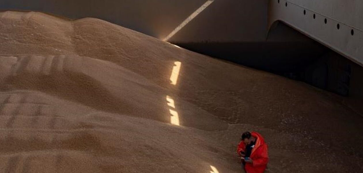 Польща пожалілася в Раду ЄС на агроімпорт з України - ЗМІ