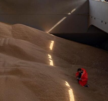 Польща пожалілася в Раду ЄС на агроімпорт з України - ЗМІ